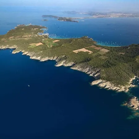 Le Palm, Climatise Pour 4 Personnes Avec Vue Et Piscine Sur Le Port D'hyeres *