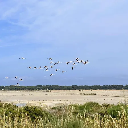 Le Palm, Climatise Pour 4 Personnes Avec Vue Et Piscine Sur Le Port D'hyeres * Hyères