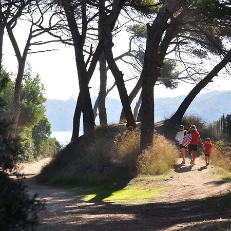 Le Palm, Climatise Pour 4 Personnes Avec Vue Et Piscine Sur Le Port D'hyeres 아파트 히에레